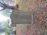 image of grave number 528174